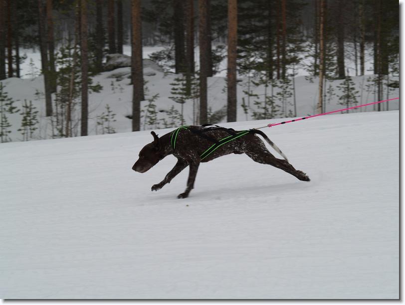Nästa bild